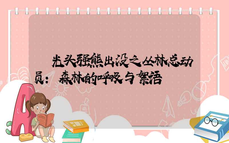  光头强熊出没之丛林总动员：森林的呼吸与絮语